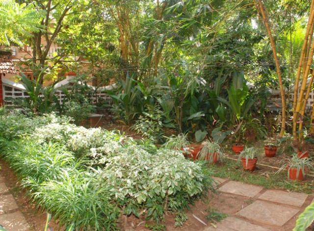 קנדולים Pinto Guest House מראה חיצוני תמונה